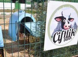 Çiftlik Bank soruşturması: 3 milyon liraya el kondu