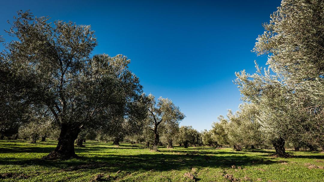 Buralarda tapusu olan yaşadı! Gayrimenkul&uuml;n "altın &uuml;&ccedil;geni" belli oldu 4