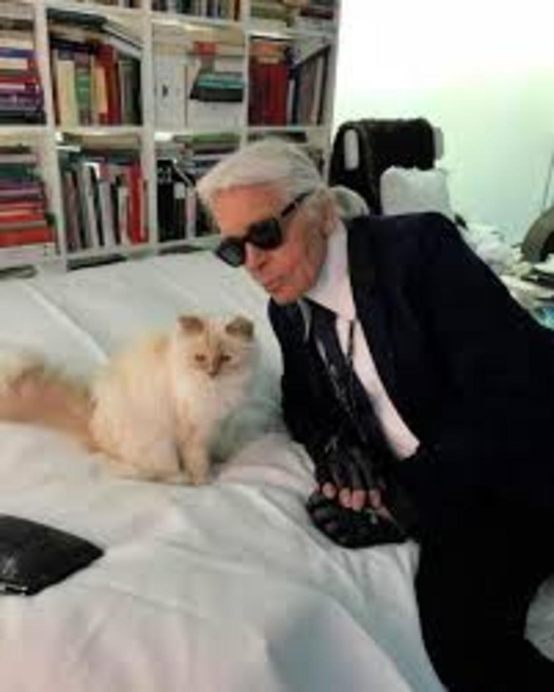 Kedi kıskandıran servet: Karl Lagerfeld&rsquo;in 270 milyon dolarlık mirası ortalığı karıştırdı! 2