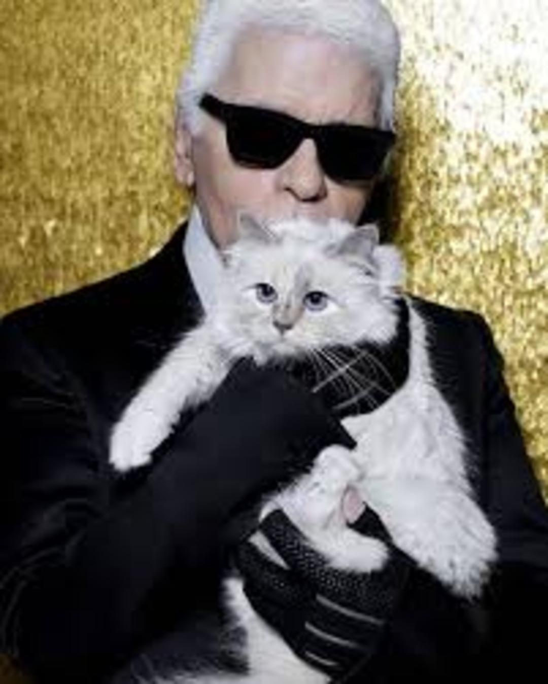 Kedi kıskandıran servet: Karl Lagerfeld&rsquo;in 270 milyon dolarlık mirası ortalığı karıştırdı! 3