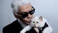 Karl Lagerfeld'in b�y�k servetinden kedisine bol s�f�rl� miras!