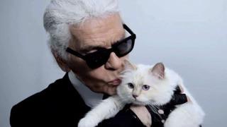 Kedi kıskandıran servet: Karl Lagerfeld’in 270 milyon dolarlık mirası ortalığı karıştırdı!