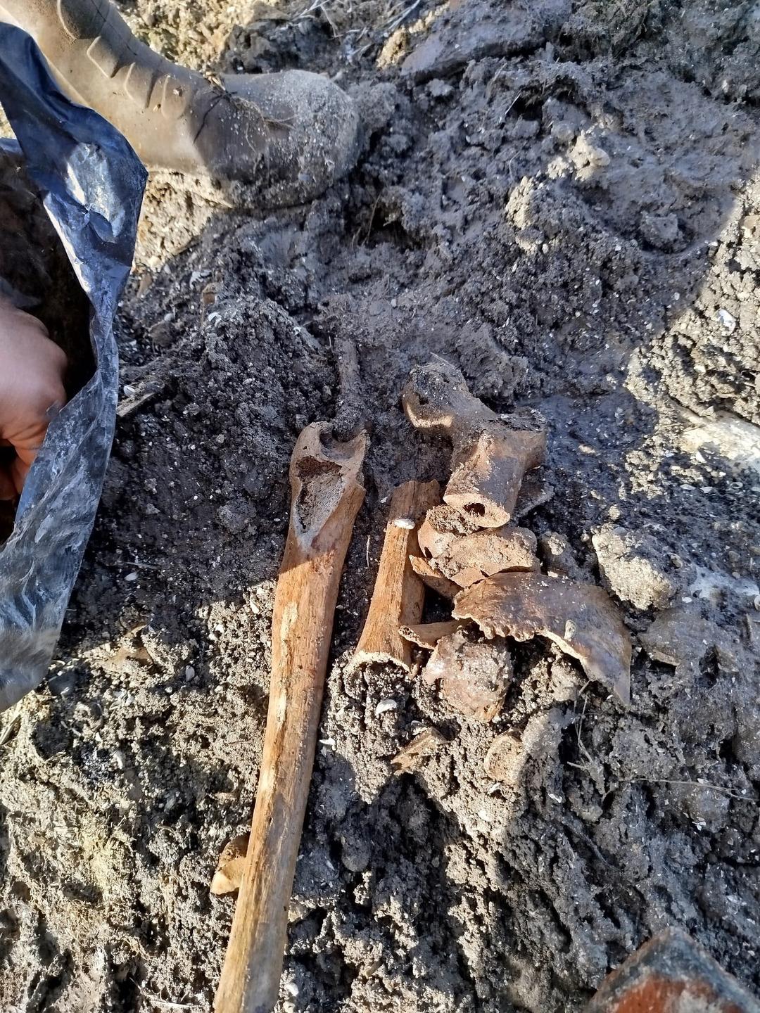 G&ouml;lde sular &ccedil;ekilince  k&uuml;p mezar  ortaya &ccedil;ıktı: İnsan kemikleriyle dolu! 5