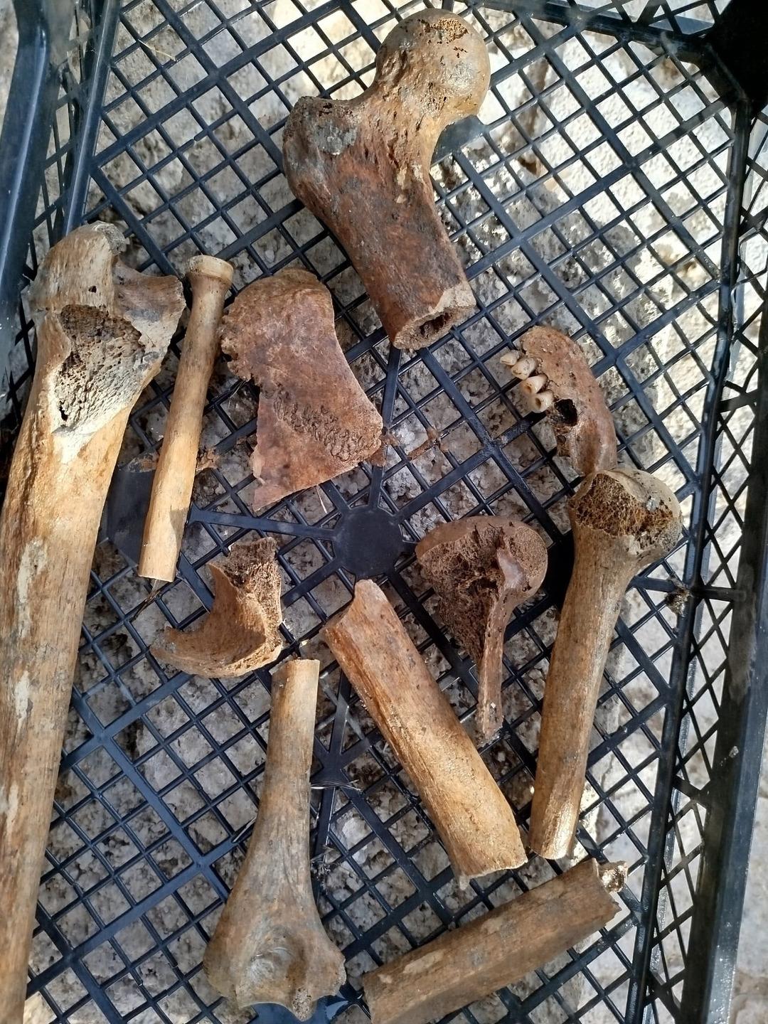 G&ouml;lde sular &ccedil;ekilince  k&uuml;p mezar  ortaya &ccedil;ıktı: İnsan kemikleriyle dolu! 2