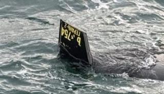 Ş&uuml;pheli cisim merak uyandırdı! İstanbul sularında hareketlilik