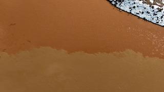 Türkiye'nin en uzunuydu: Rengi tamamen değişti! 