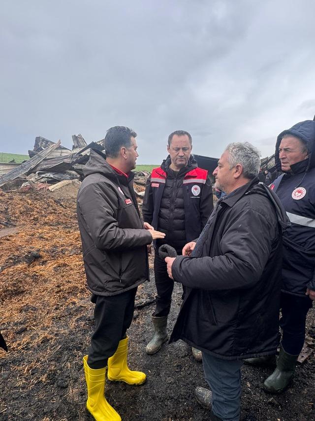 Tekirdağ da &ccedil;iftlikte &ccedil;ıkan yangında 100 koyun &ouml;ld&uuml; 1
