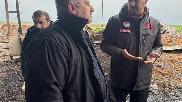 Tekirdağ'da çiftlikte çıkan yangında 100 koyun öldü