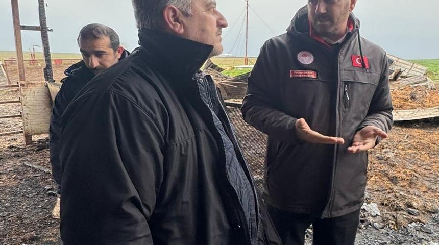 Tekirdağ'da &ccedil;iftlikte &ccedil;ıkan yangında 100 koyun &ouml;ld&uuml;