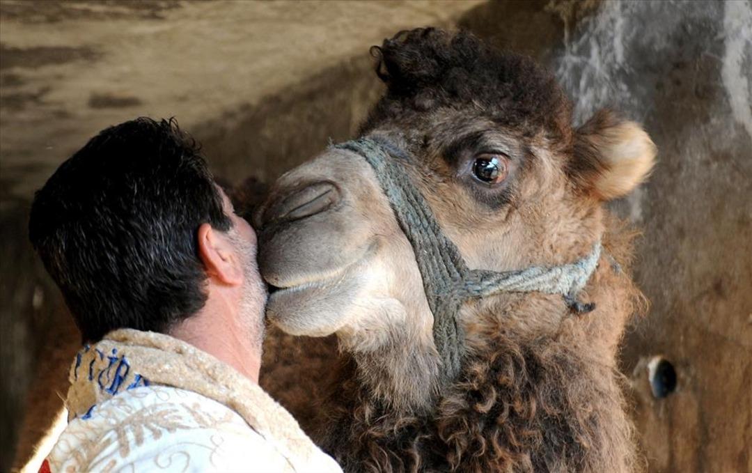 Devenin olur mu demeyin! Milyonlarca pasaport &ccedil;ıkacak: O &uuml;lkede şaşkına &ccedil;eviren uygulama 2