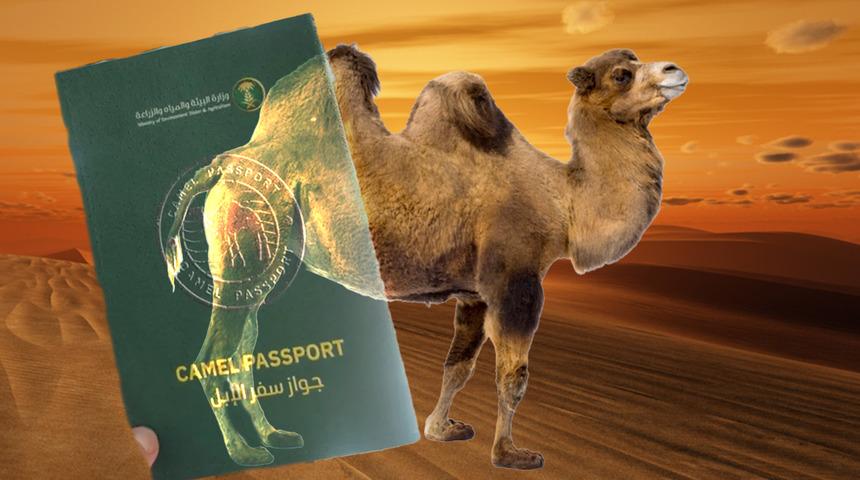 Devenin olur mu demeyin! Milyonlarca pasaport &ccedil;ıkacak: O &uuml;lkede şaşkına &ccedil;eviren uygulama