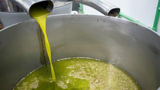 Düzenli tüketildiğinde ömrü en az 10 yıl uzatıyor