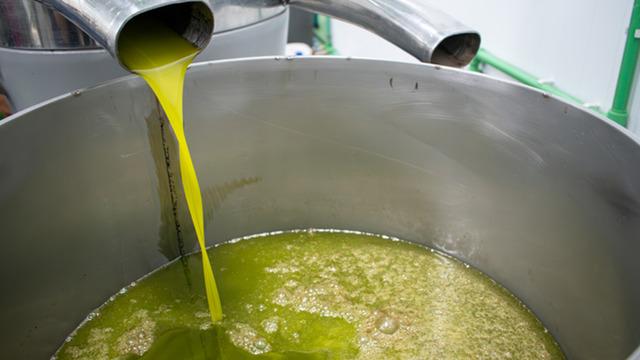 Düzenli tüketildiğinde ömrü en az 10 yıl uzatıyor