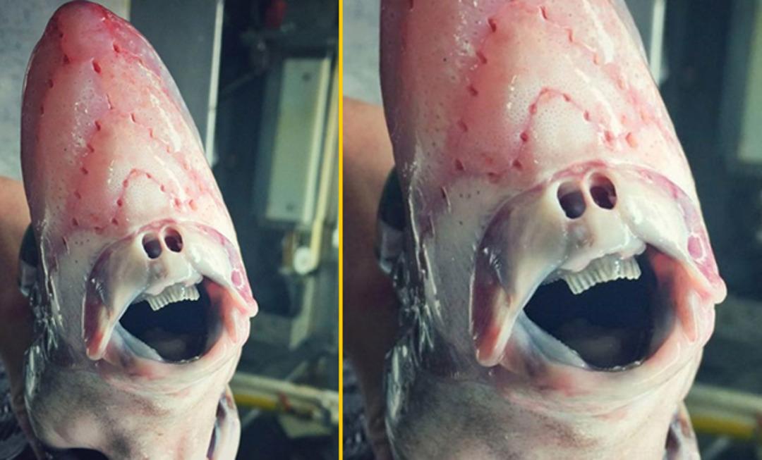 Hi&ccedil; birinin canavardan farkı yok! Derin mavinin korkun&ccedil; y&uuml;z&uuml;