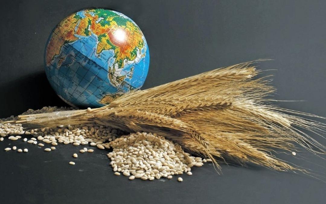 FAO raporuna g&ouml;re k&uuml;resel gıda fiyatları 5 aydır d&uuml;ş&uuml;yor 1