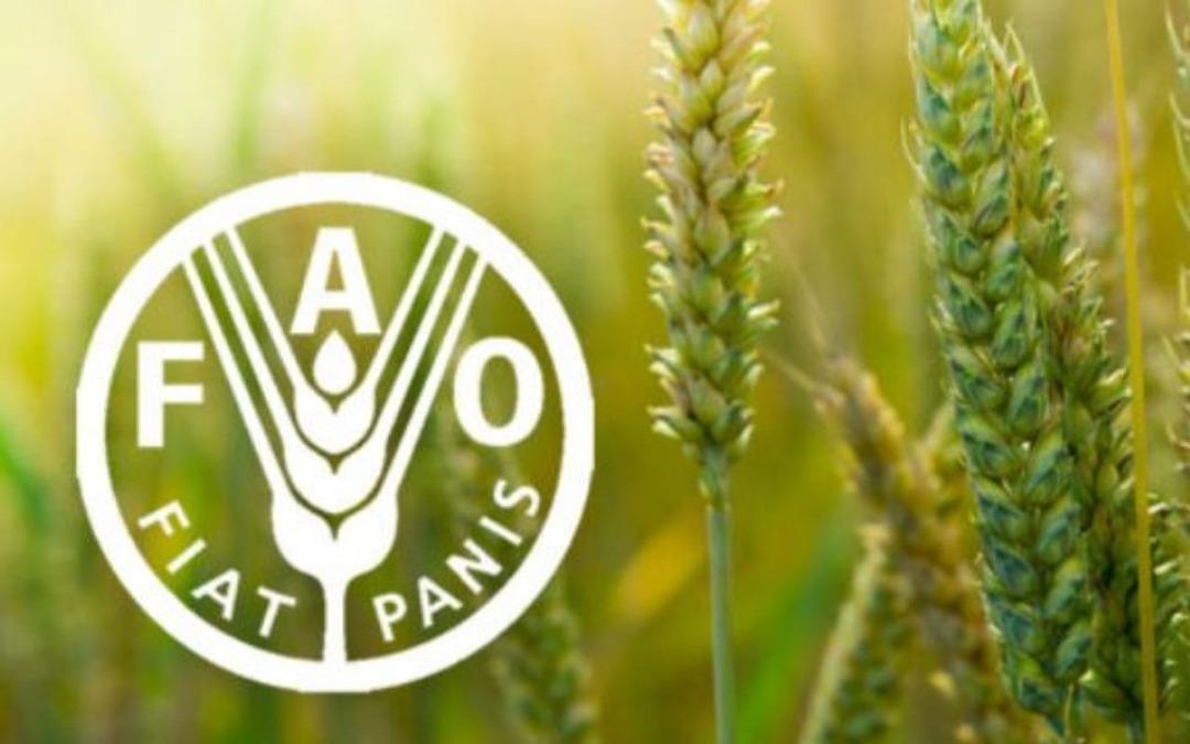 FAO raporuna g&ouml;re k&uuml;resel gıda fiyatları 5 aydır d&uuml;ş&uuml;yor 2