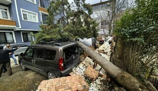 Samsun'da şiddetli r&uuml;zgar nedeniyle devrilen ağa&ccedil;lar 3 araca zarar verdi
