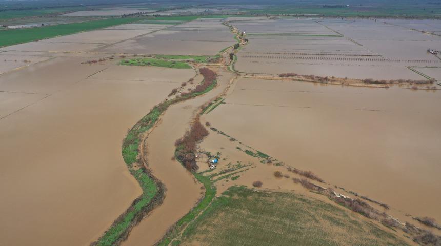Aydın'da B&uuml;y&uuml;k Menderes Nehri taştı! ekili alanlar su altına kaldı