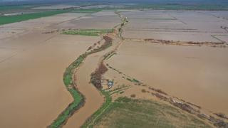 Aydın'da Büyük Menderes Nehri taştı! ekili alanlar su altına kaldı