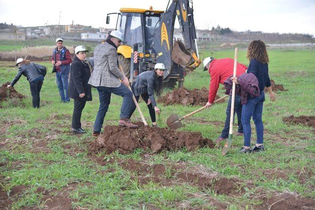 DSMMMO üyeleri Kent Ormanı’na fidan dikti