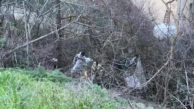 Yer: İstanbul! Yol kenarında ceset bulundu