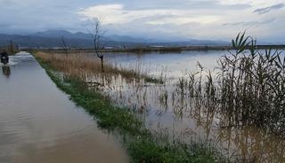 Aydın'da kurutma kanalı taştı, tarım arazileri g&ouml;le d&ouml;nd&uuml;