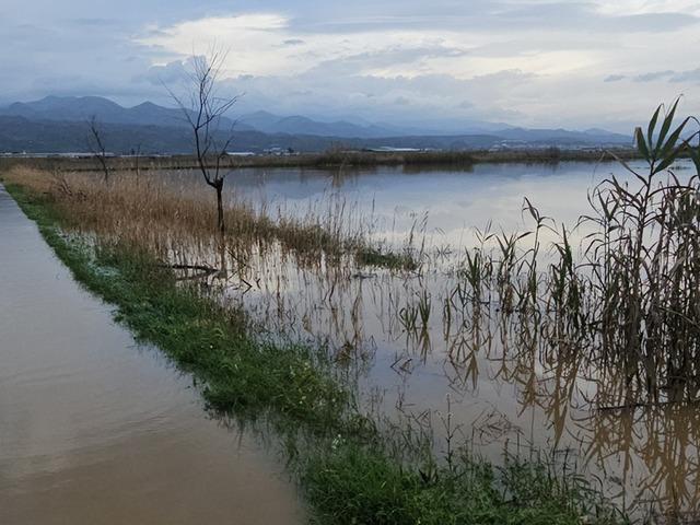 Aydın'da kurutma kanalı taştı, tarım arazileri g&ouml;le d&ouml;nd&uuml;