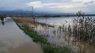 Aydın'da kurutma kanalı taştı, tarım arazileri göle döndü
