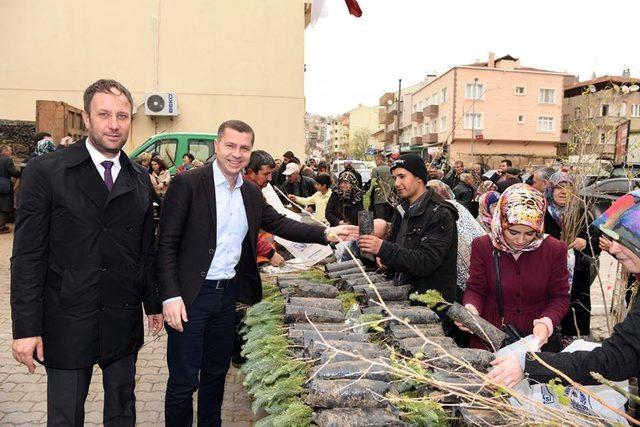 Çan’da 25 bin fidan dağıtıldı