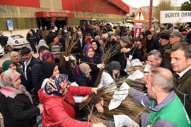 Çan’da 25 bin fidan dağıtıldı