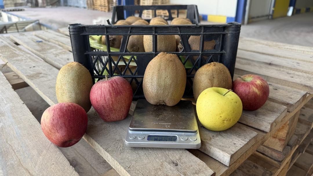 T&uuml;rkiye&rsquo;nin dev kivileri rekor kırdı! Avrupa nın dikkatini &ccedil;ekti 2