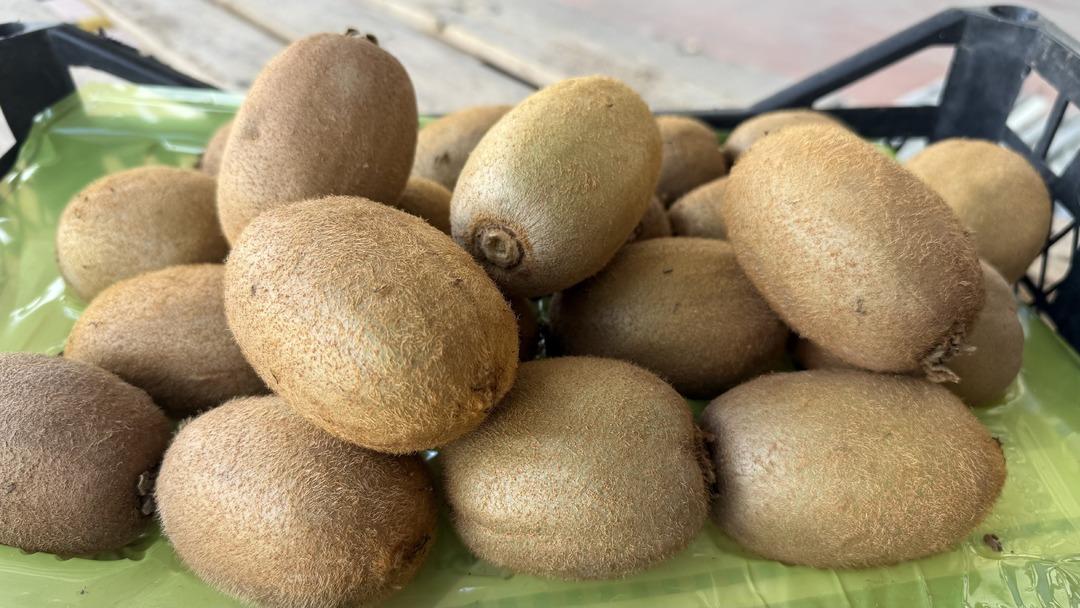 T&uuml;rkiye&rsquo;nin dev kivileri rekor kırdı! Avrupa nın dikkatini &ccedil;ekti 3