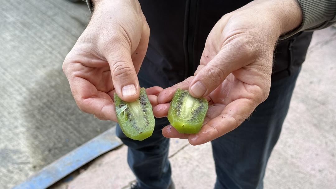 T&uuml;rkiye&rsquo;nin dev kivileri rekor kırdı! Avrupa nın dikkatini &ccedil;ekti 5