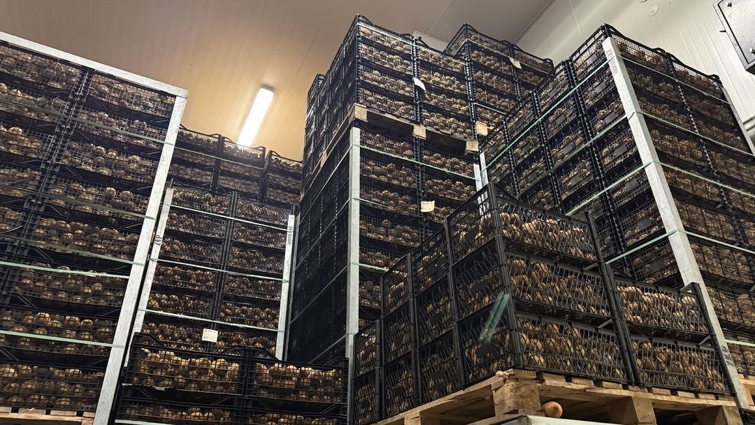 T&uuml;rkiye&rsquo;nin dev kivileri rekor kırdı! Avrupa nın dikkatini &ccedil;ekti 6