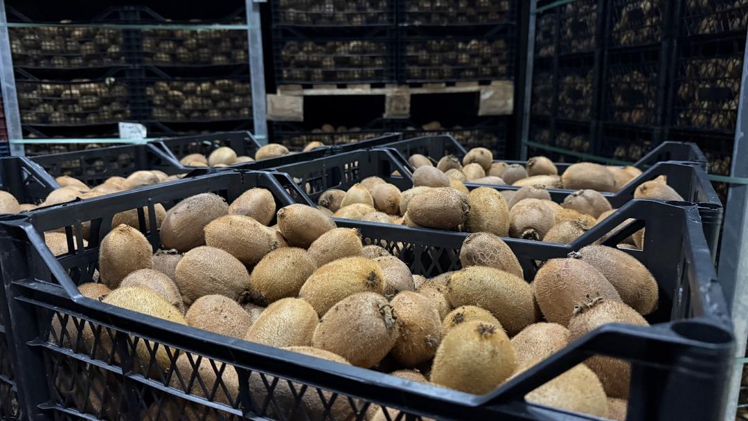 T&uuml;rkiye&rsquo;nin dev kivileri rekor kırdı! Avrupa nın dikkatini &ccedil;ekti 7