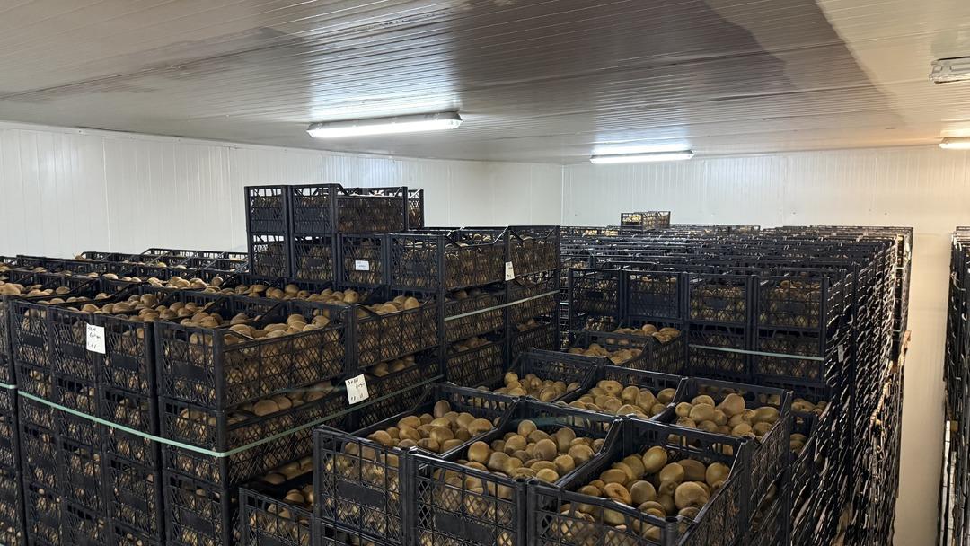 T&uuml;rkiye&rsquo;nin dev kivileri rekor kırdı! Avrupa nın dikkatini &ccedil;ekti 8