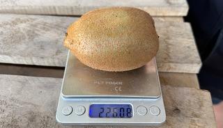 T&uuml;rkiye&rsquo;nin dev kivileri rekor kırdı! Avrupa'nın dikkatini &ccedil;ekti