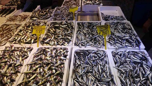 Hamsi bu defa şaşırttı: Tezgahlar yeniden şenlendi 1