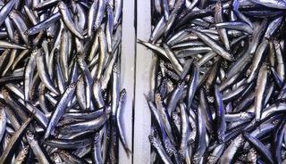 Bir bu&ccedil;uk aydır tezgahlardan uzaktı: Bu defa şaşırttı!