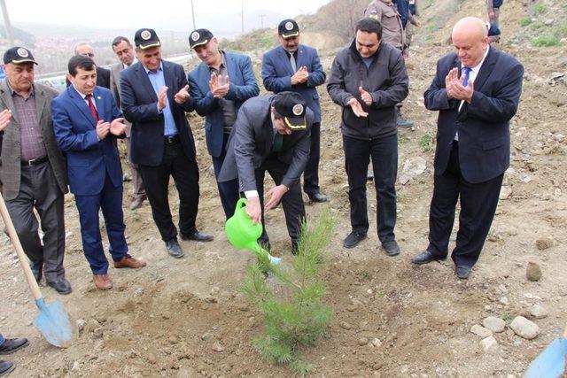 Bayat’ta bin 600 fidan toprakla buluşturuldu