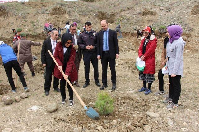 Bayat’ta bin 600 fidan toprakla buluşturuldu