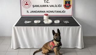 Şanlıurfa'da uyuşturucu operasyonu: 1 g&ouml;zaltı