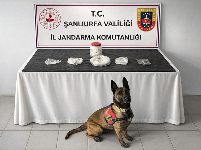 Şanlıurfa'da uyuşturucu operasyonu: 1 g&ouml;zaltı