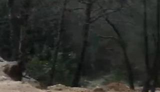 Alanya'da sağanak sonrası su taşkını k&ouml;pr&uuml;de zarara neden oldu