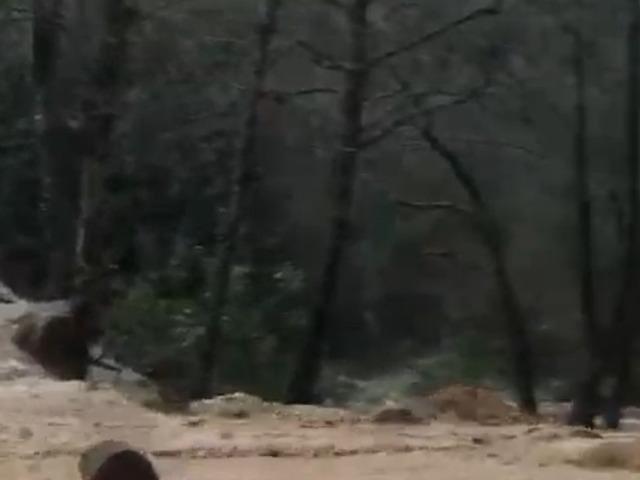 Alanya'da sağanak sonrası su taşkını k&ouml;pr&uuml;de zarara neden oldu