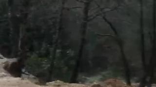 Alanya'da sağanak sonrası su taşkını köprüde zarara neden oldu