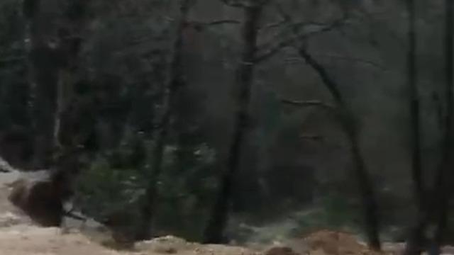 Alanya'da sağanak sonrası su taşkını köprüde zarara neden oldu