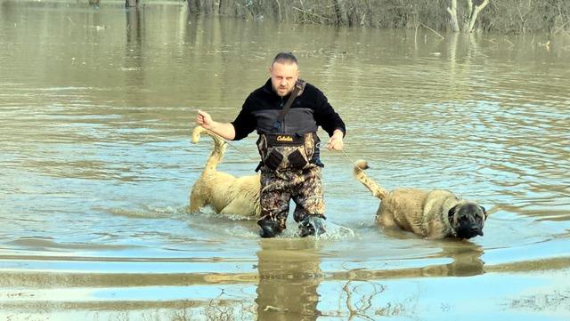 Meri&ccedil;, yatağından taştı: DSİ  turuncu alarm  verdi! 2