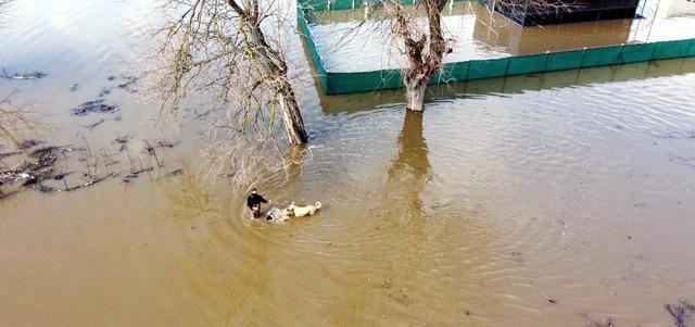 Meri&ccedil;, yatağından taştı: DSİ  turuncu alarm  verdi! 1
