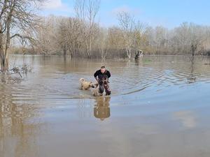 Meri&ccedil;, yatağından taştı: DSİ 'turuncu alarm' verdi!